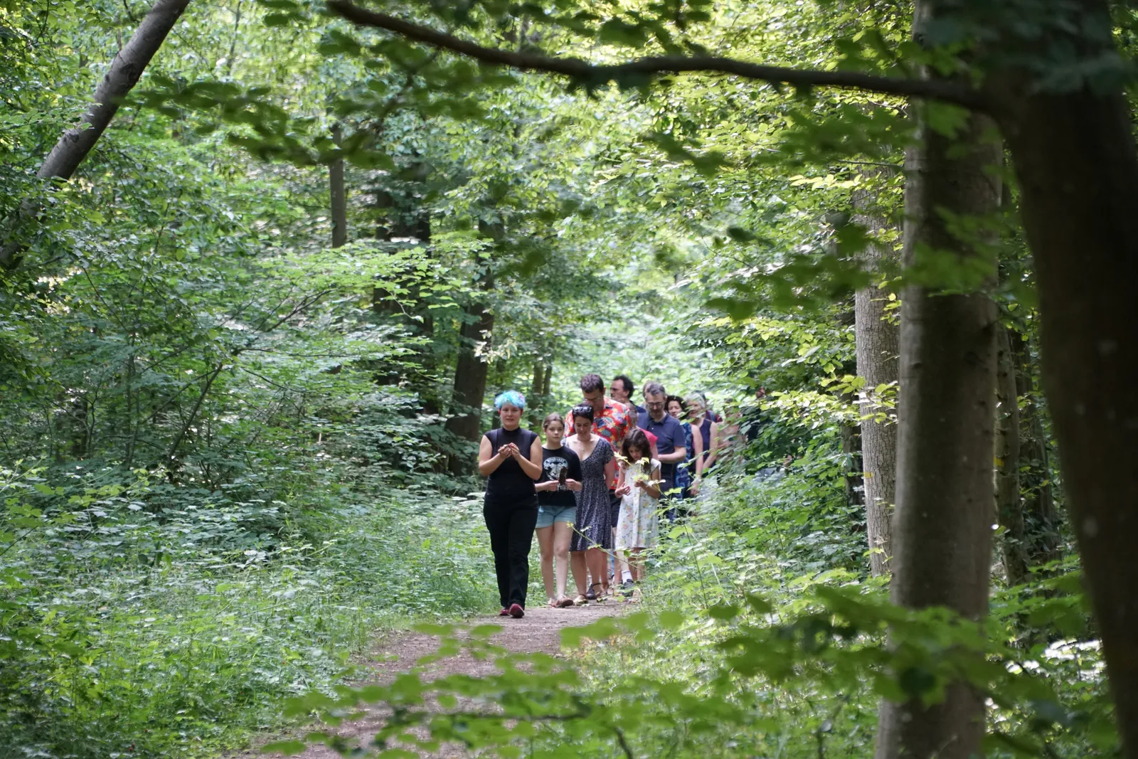 Le public suit un chemin en sous-bois, en forêt de Chantilly